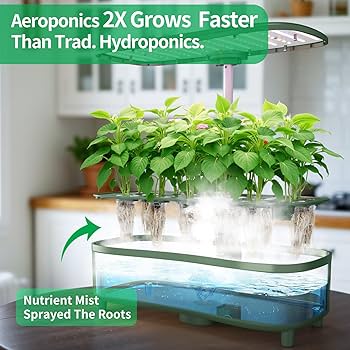 71oTQDqA+IL._AC_UF350,